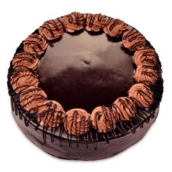 Extreme Chocolate Cake with rich, indulgent layers and intense chocolate flavor, featuring an over-the-top design for a decadent dessert experience.