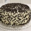 Vanilla Choco Chips Cake with moist vanilla layers and scattered chocolate chips, providing a perfect blend of flavors and textures.