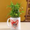 Bamboo Plant in I Love You Mom Mug featuring a bamboo plant in a mug with 'I Love You Mom' text, ideal for gifting.