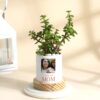 Customized Jade plant in a decorative ceramic planter, a perfect Mother's Day gift symbolizing prosperity and love for your mom.