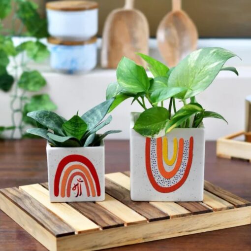 Divine Duo ceramic planters for Mom, featuring elegant designs and vibrant plants, perfect for Mother's Day gifting.