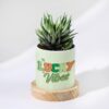 Custom Haworthia succulent planter for Mom, featuring a stylish design and personalized touch, perfect for enhancing home decor and celebrating Mother's Day.