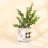 Mom's Jade Plant in a designer diamond planter, symbolizing prosperity and love, perfect for Mother's Day or any special occasion.