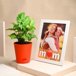 Mom's Love Syngonium Plant alongside a personalized frame, perfect for celebrating Mother's Day.