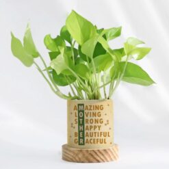 Personalized money plant ensemble for mom, featuring a thriving money plant in a decorative pot customized with a special message for prosperity.