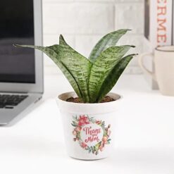 Thank You Mom Plant Pot featuring a charming design with a heartfelt message, ideal for expressing gratitude and adding greenery to her space.