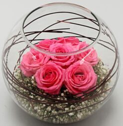 Elegant pink roses in a clear glass vase, showcasing a delicate and romantic floral arrangement ideal for special occasions and home decor.