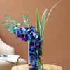 Beautiful Blue Orchids featuring a stunning arrangement of vibrant blue orchids, ideal for adding elegance to any occasion or decor.