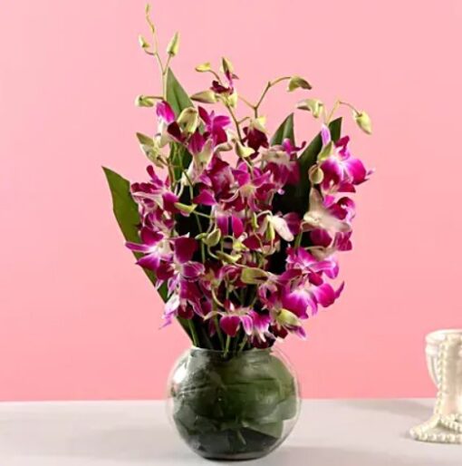 Purple Orchids Bunch featuring a beautiful arrangement of vibrant purple orchids, perfect for enhancing any event with elegance and charm.