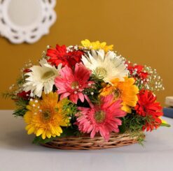 Colorful Mixed Gerberas in Cane Basket featuring a vibrant mix of gerberas arranged in a stylish cane basket, ideal for brightening any occasion.