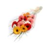 Mixed Beautiful Gerberas featuring a vibrant assortment of gerbera flowers, ideal for adding color and joy to any occasion.