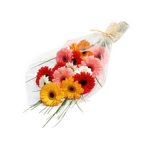 Mixed Beautiful Gerberas featuring a vibrant assortment of gerbera flowers, ideal for adding color and joy to any occasion.