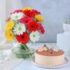 Colorful Gerberas & Butterscotch Bliss – a cheerful mix of colorful gerberas and creamy butterscotch cake, ideal for festive occasions.