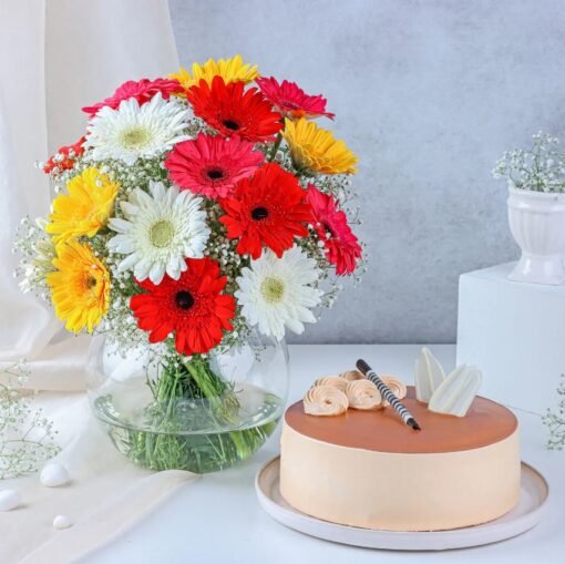 Colorful Gerberas & Butterscotch Bliss – a cheerful mix of colorful gerberas and creamy butterscotch cake, ideal for festive occasions.