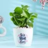 Best Mom Ever Money Plant — vibrant money plant in a decorative pot with a “Best Mom Ever” tag, ideal for Mother’s Day gifting.
