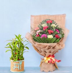 Mother’s Day gift set with a vibrant flower bouquet and a potted plant — a thoughtful mix of freshness and lasting love.
