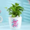 Love You Maa Money Plant — healthy money plant in a decorative pot with “Love You Maa” tag, perfect for Mother’s Day gifting.